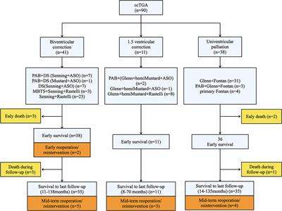 Congenitally Corrected Transposition of the Great Arteries: Mid-term Outcomes of Different Surgical Strategies